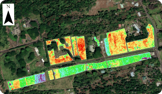 UCCハワイコナコーヒー直営農園における衛星画像解析イメージ 植物の活性度を示すヒートマップ