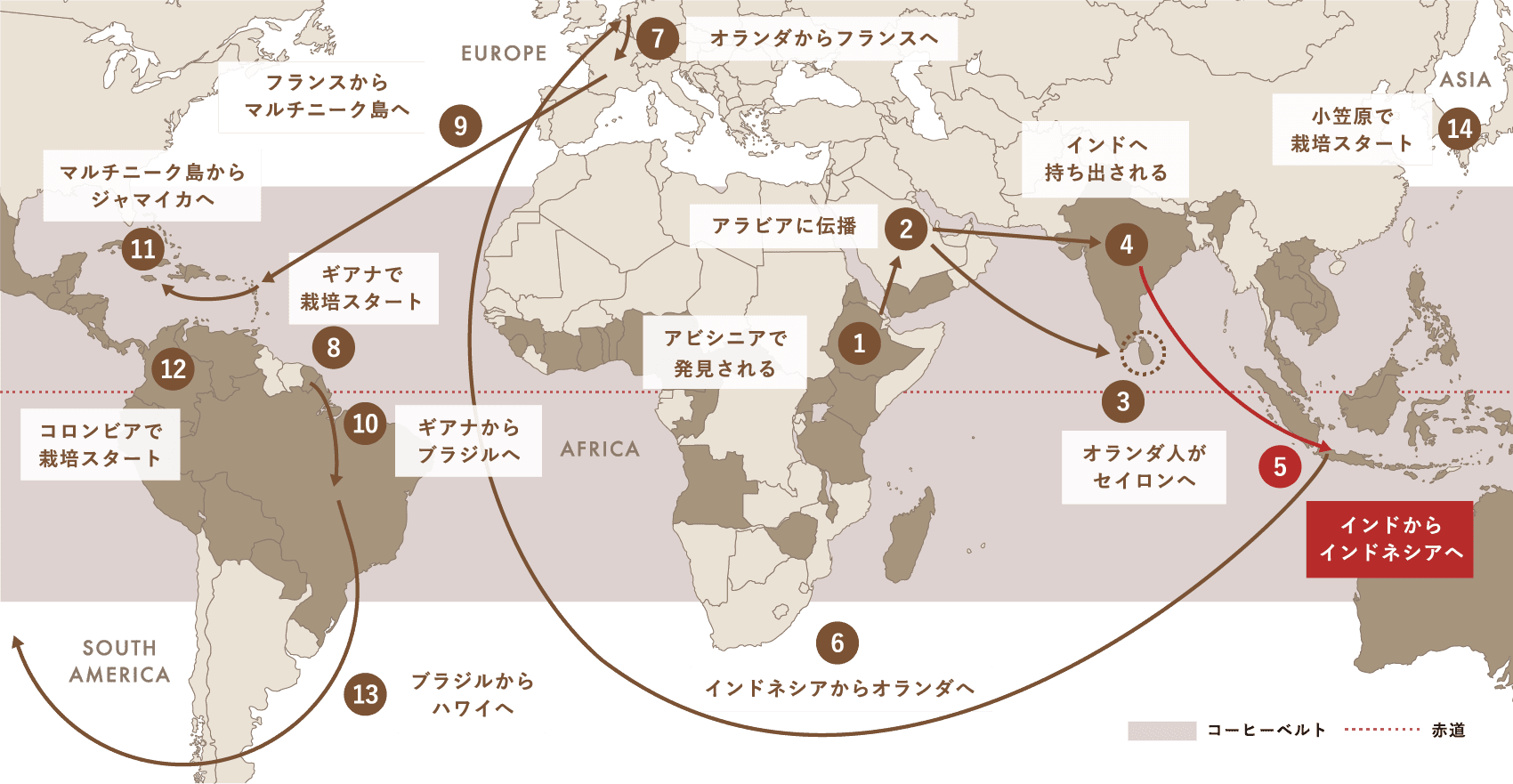 Spread of Coffee コーヒー栽培（アラビカ種）が世界中に広がった軌跡