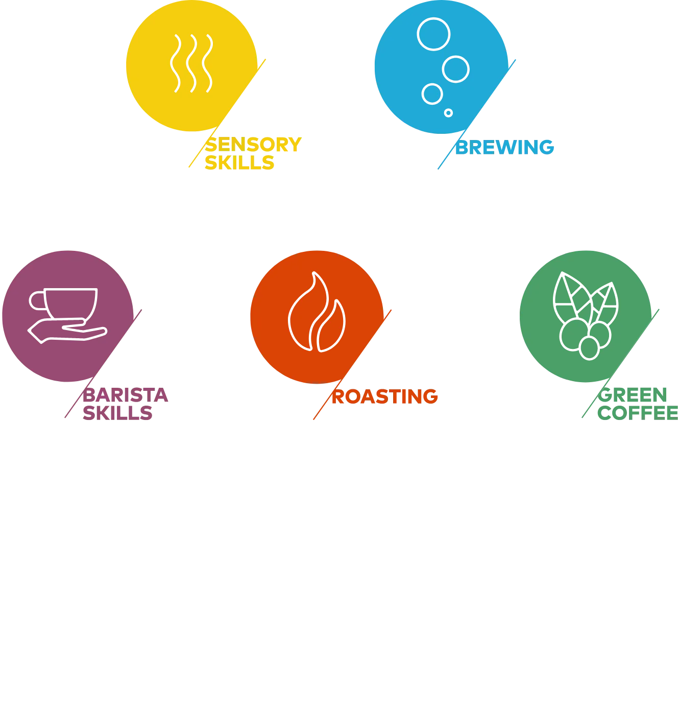 COFFEE SKILLS PROGRAM 養成課程5コースと3段階のレベル