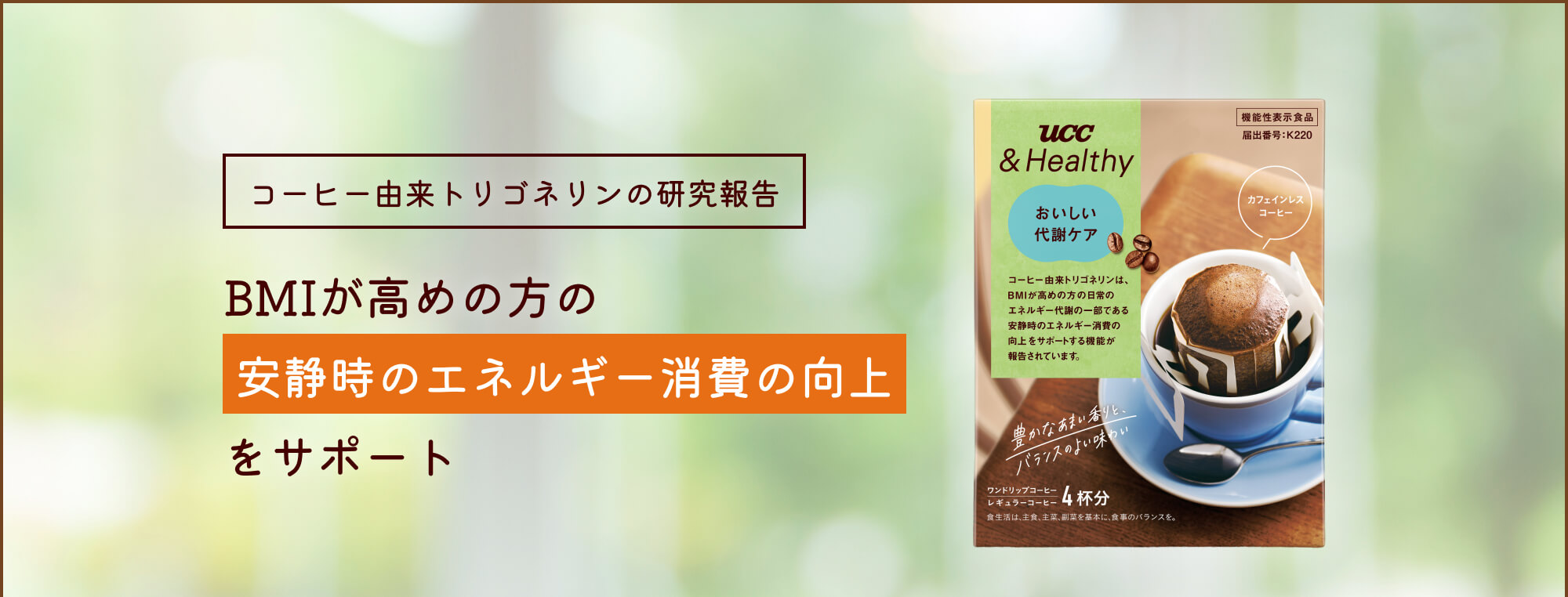 コーヒー由来トリゴネリンの研究報告 BMIが高めの方の安静時のエネルギー消費の向上をサポート