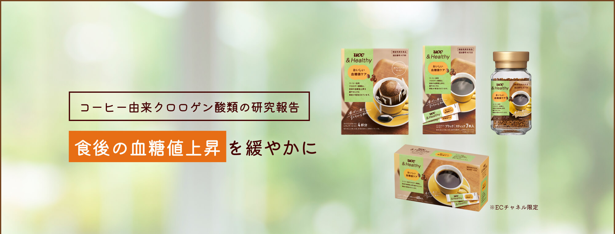 コーヒー由来クロロゲン酸類の研究報告 食後の血糖値の上昇を緩やかに