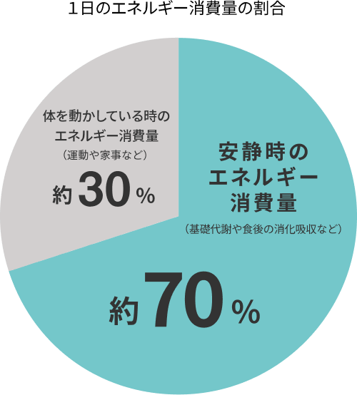 1日のエネルギー消費量の割合。安静時のエネルギー消費量約70%、体を動かしている時のエネルギー消費量約30%