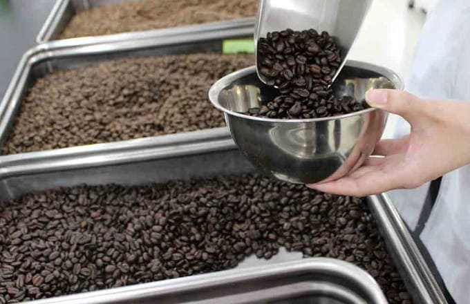 焙煎したコーヒー豆を計量する風景