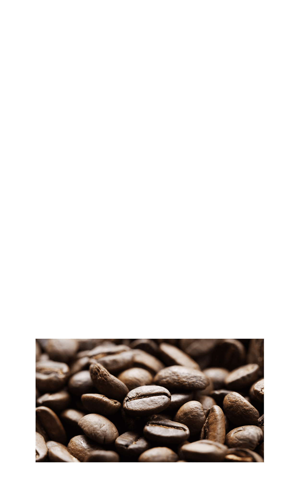 香料無添加　香料を使用することなく、コーヒー本来の香り高さと味わいを実現。BLACK無糖は「原材料：コーヒー、以上。※」を長年守り続けています。　※写真はイメージです※食品表示基準における原材料名の表記です。