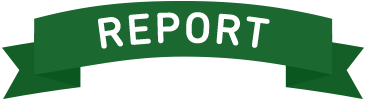 REPORT