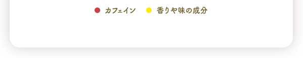 ●カフェイン ●香りや味の成分