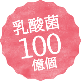 乳酸菌100億個