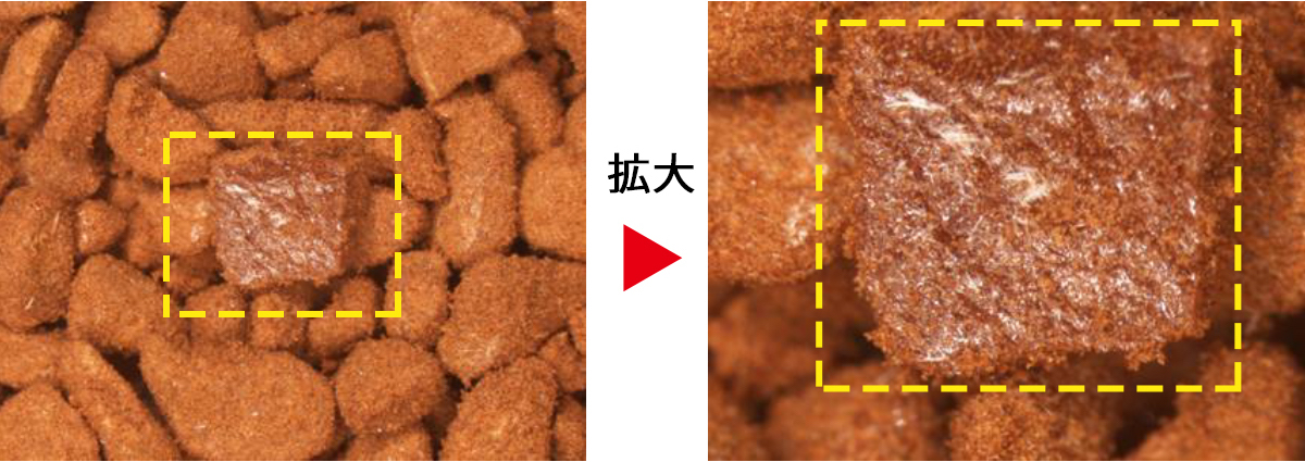 インスタントコーヒーの粉表面にクモの巣か 白いカビのようなものが見えます これは何でしょうか コーヒーはucc上島珈琲