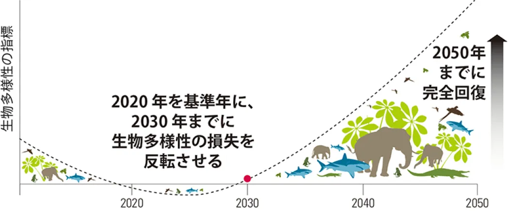 2030年までのネイチャー・ポジティブに向けた自然のための測定可能な世界目標