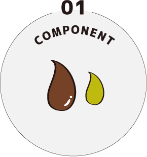 01 component