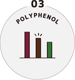 03 Polyphenol