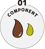 01 component