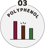 03 Polyphenol