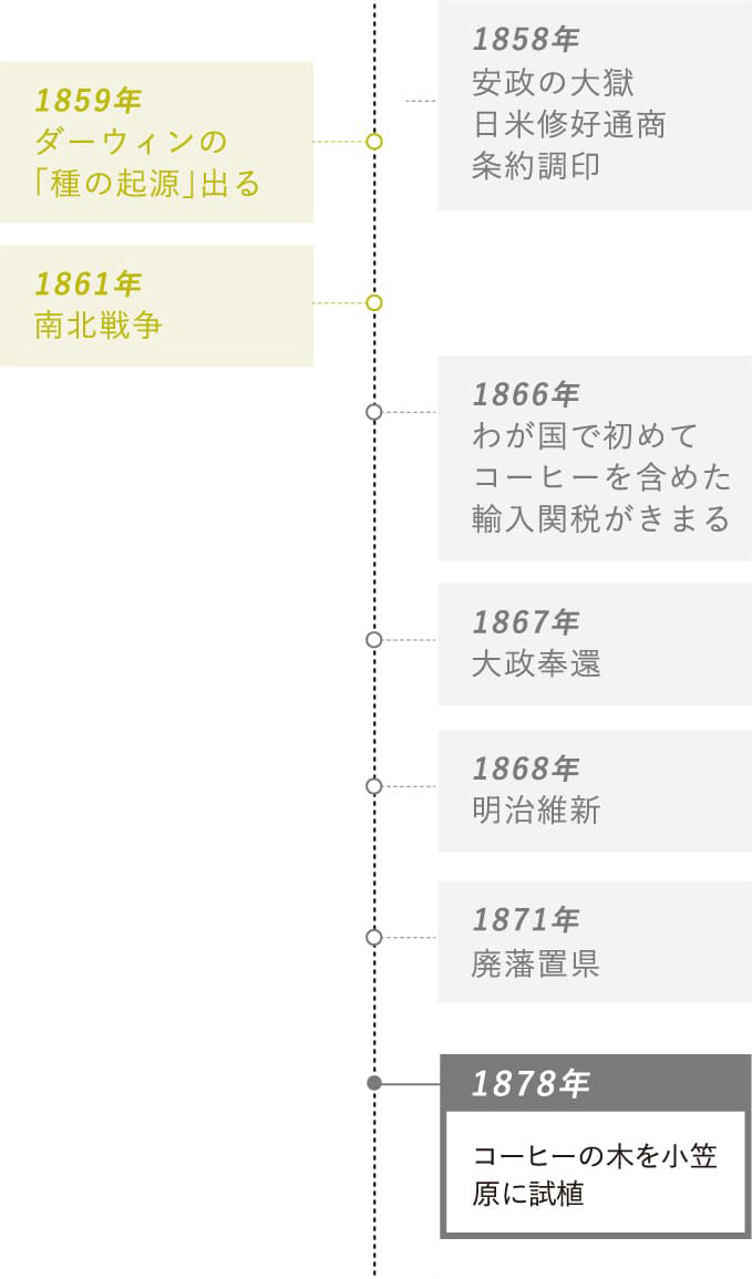 1878年：コーヒーの木を小笠原に試植