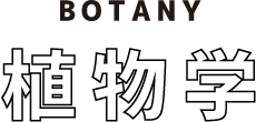 Botany 植物学