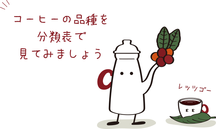 コーヒーの品種を分類表で見てみましょうレッツゴー