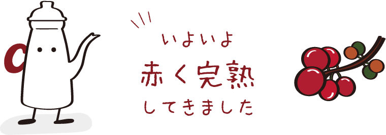 いよいよ赤く完熟してきました