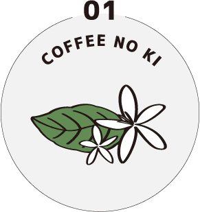 01 coffee no ki