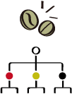 2. コーヒーの品種（種）について