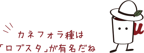 カネフォラ種は「ロブスタ」が有名だね