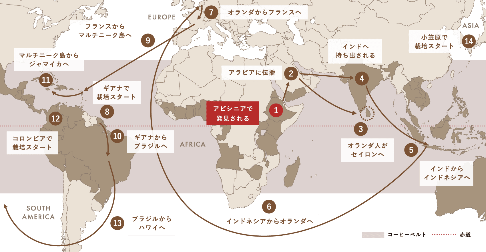 Spread of Coffee コーヒー栽培（アラビカ種）が世界中に広がった軌跡