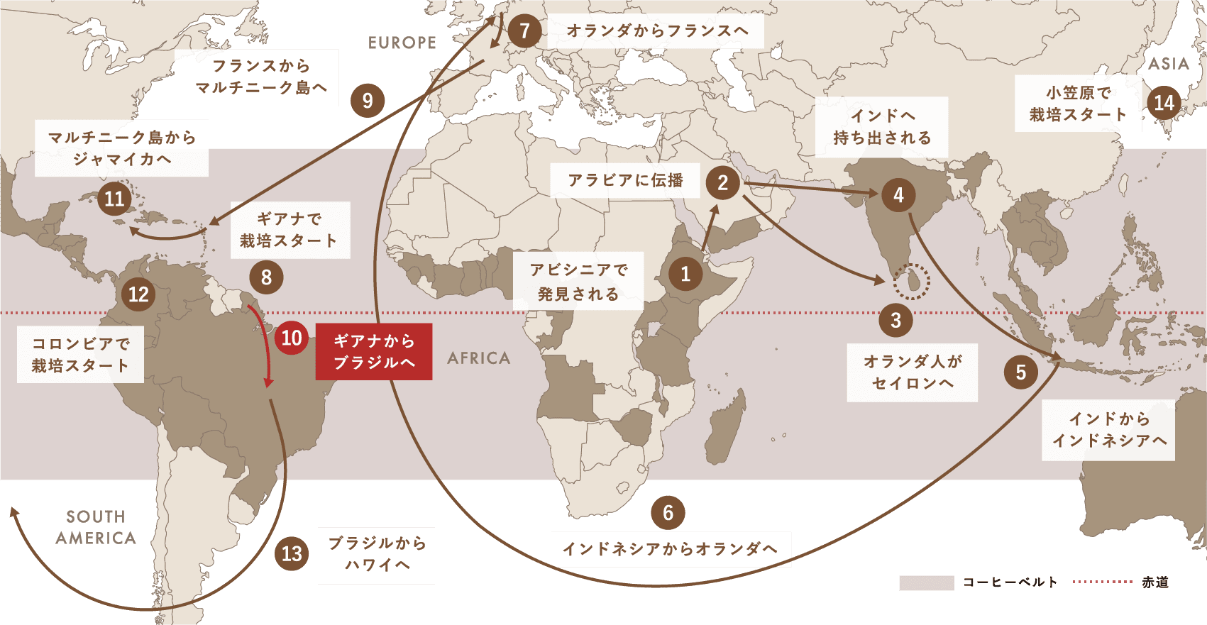 Spread of Coffee コーヒー栽培（アラビカ種）が世界中に広がった軌跡