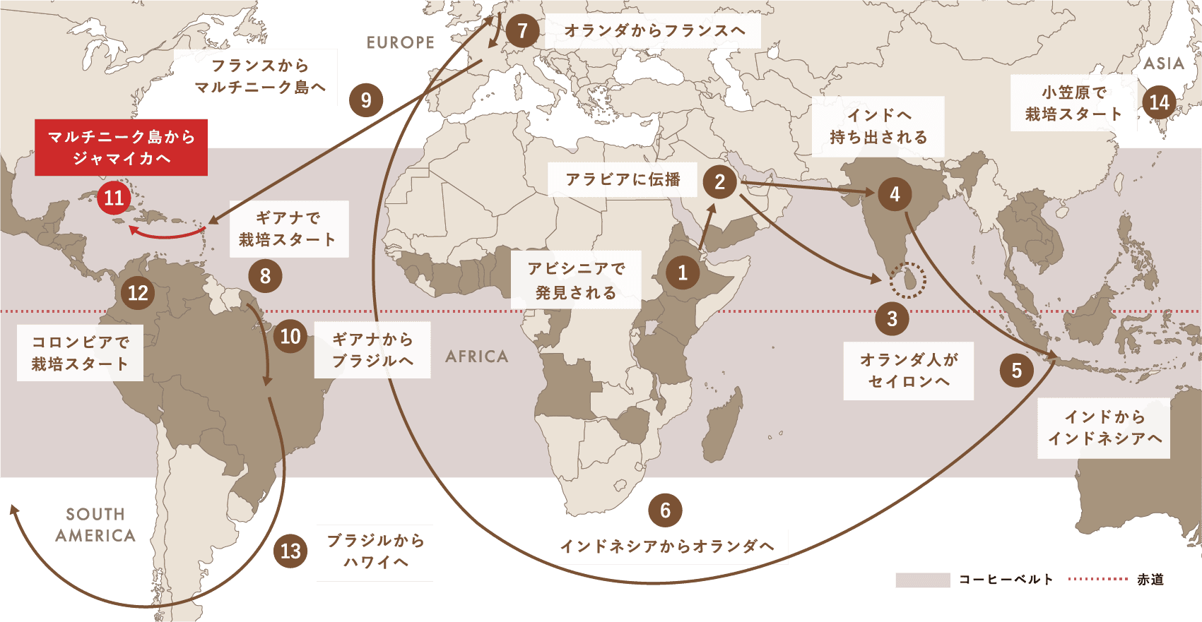 Spread of Coffee コーヒー栽培（アラビカ種）が世界中に広がった軌跡