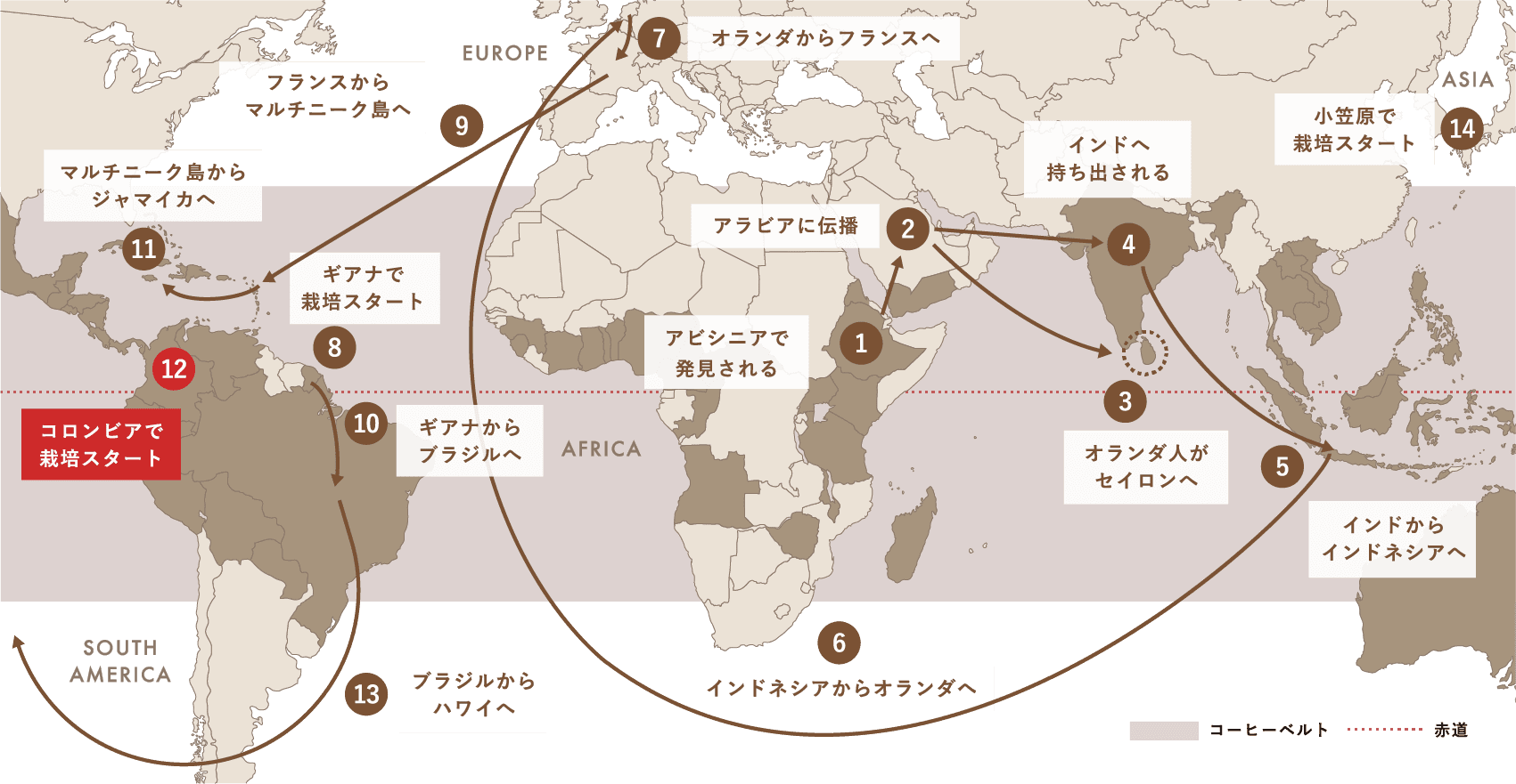 Spread of Coffee コーヒー栽培（アラビカ種）が世界中に広がった軌跡