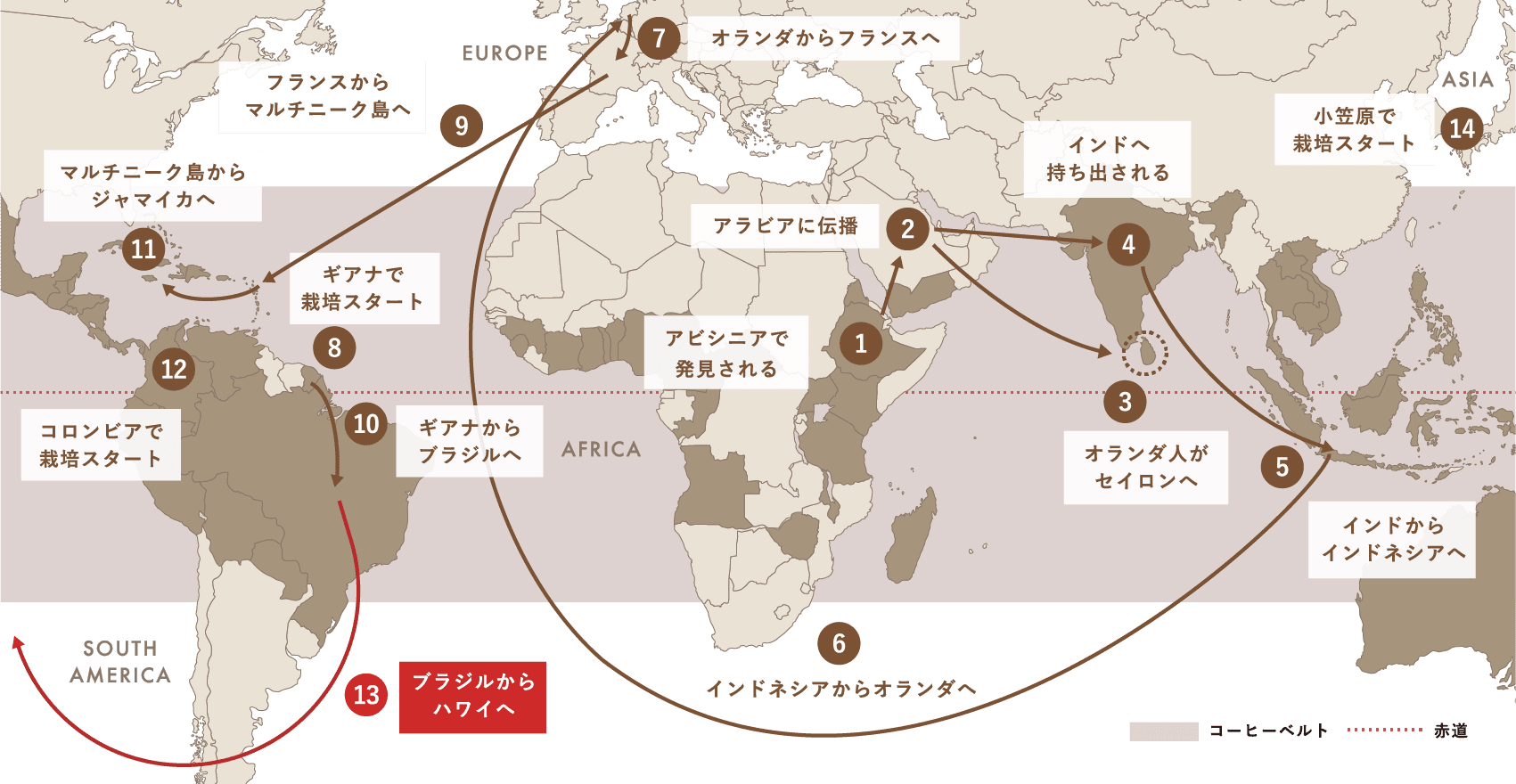 Spread of Coffee コーヒー栽培（アラビカ種）が世界中に広がった軌跡