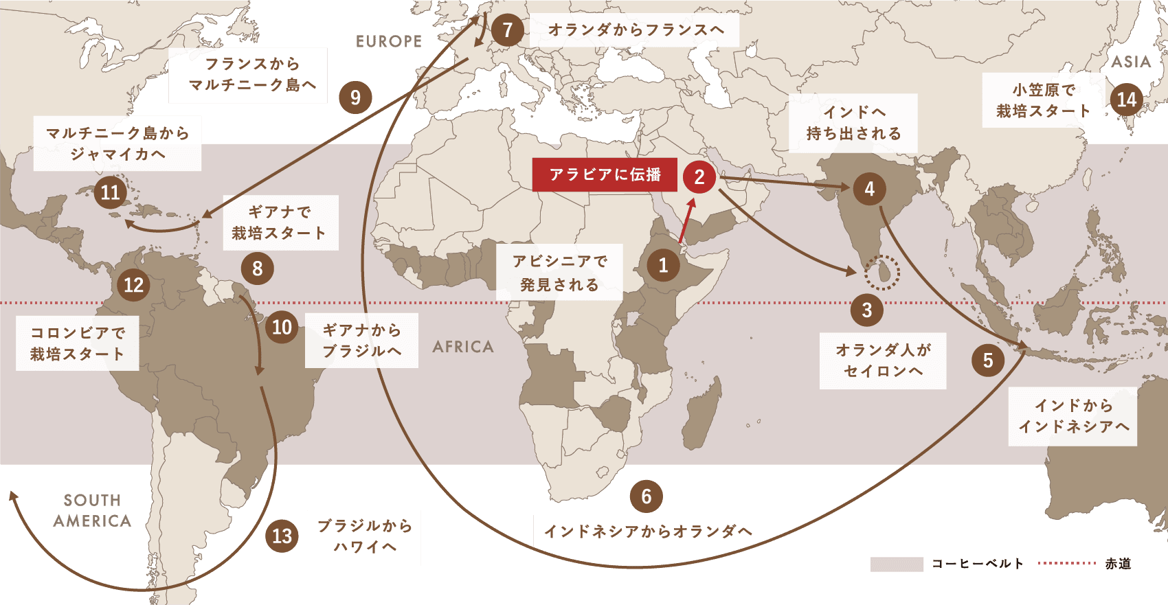 Spread of Coffee コーヒー栽培（アラビカ種）が世界中に広がった軌跡