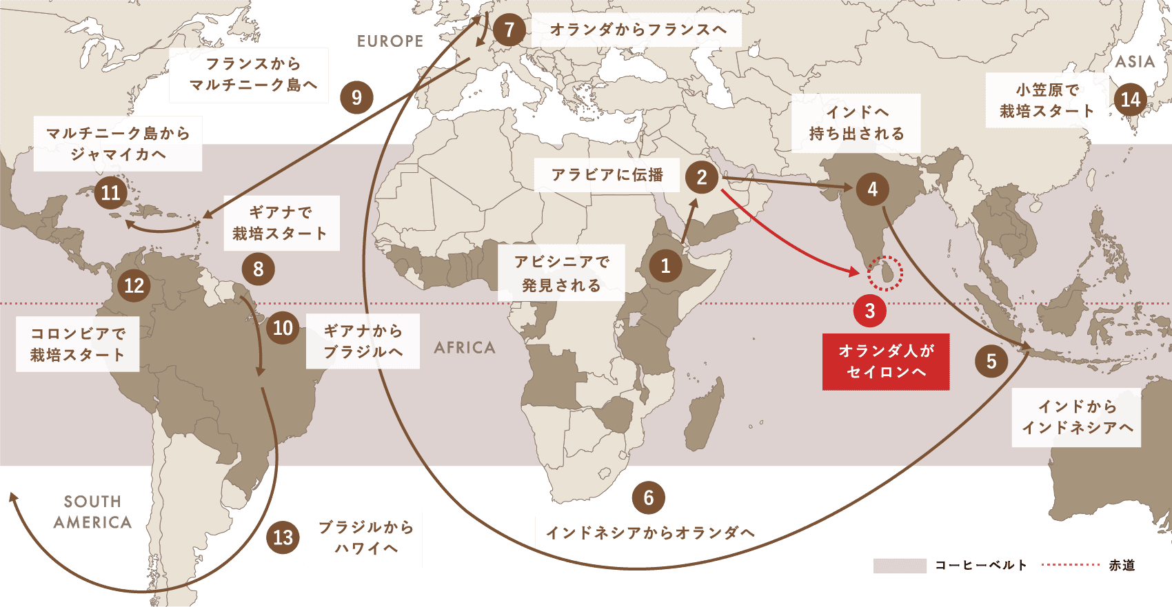 Spread of Coffee コーヒー栽培（アラビカ種）が世界中に広がった軌跡