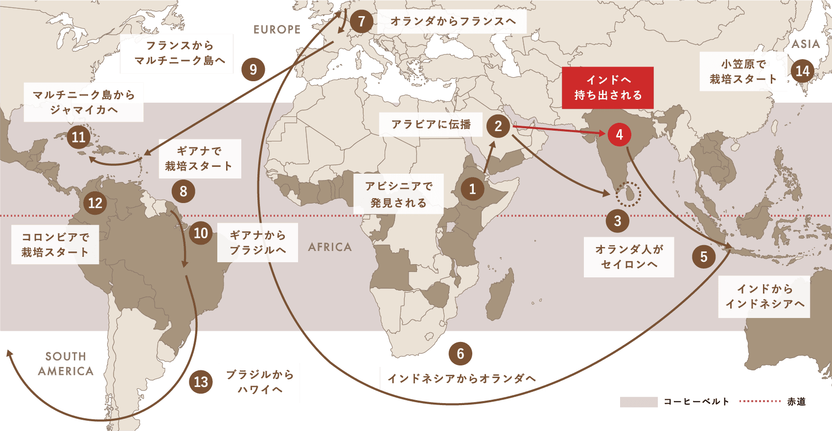 Spread of Coffee コーヒー栽培（アラビカ種）が世界中に広がった軌跡