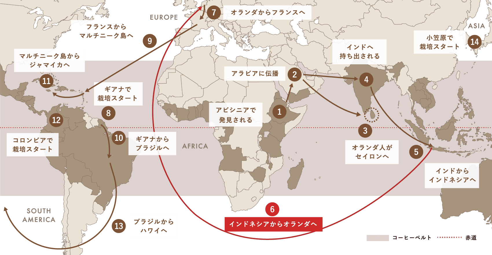 Spread of Coffee コーヒー栽培（アラビカ種）が世界中に広がった軌跡