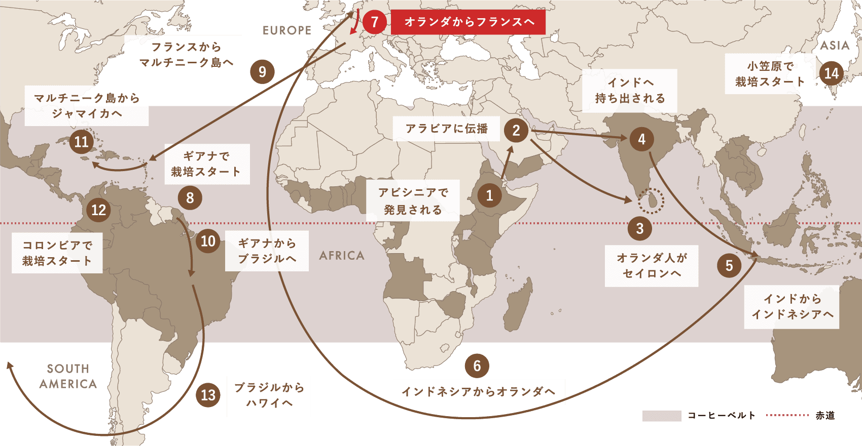 Spread of Coffee コーヒー栽培（アラビカ種）が世界中に広がった軌跡