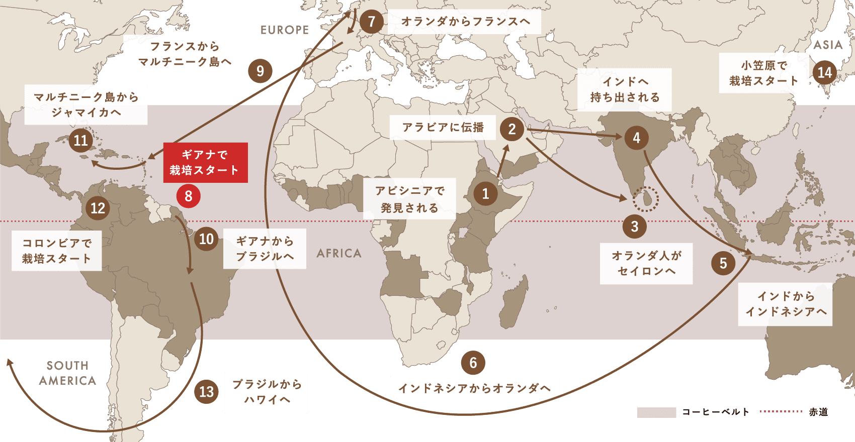 Spread of Coffee コーヒー栽培（アラビカ種）が世界中に広がった軌跡