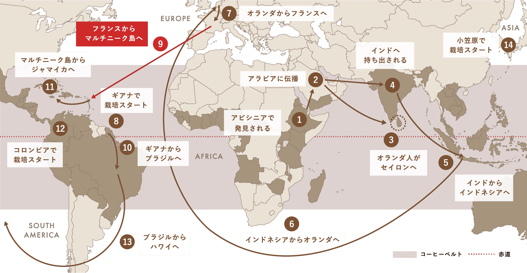 Spread of Coffee コーヒー栽培（アラビカ種）が世界中に広がった軌跡