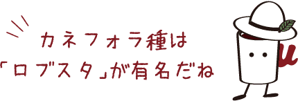 カネフォラ種は「ロブスタ」が有名だね