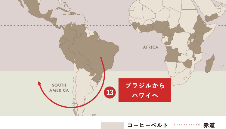 Spread of Coffee コーヒー栽培（アラビカ種）が世界中に広がった軌跡