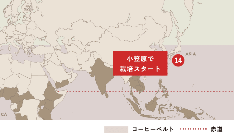 Spread of Coffee コーヒー栽培（アラビカ種）が世界中に広がった軌跡