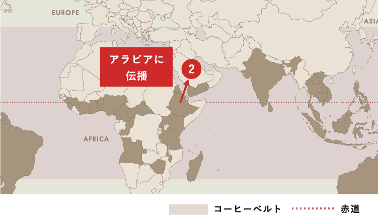 Spread of Coffee コーヒー栽培（アラビカ種）が世界中に広がった軌跡