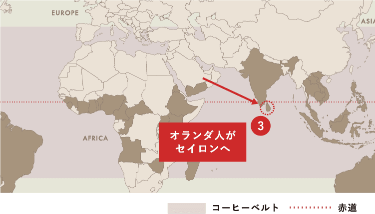 Spread of Coffee コーヒー栽培（アラビカ種）が世界中に広がった軌跡