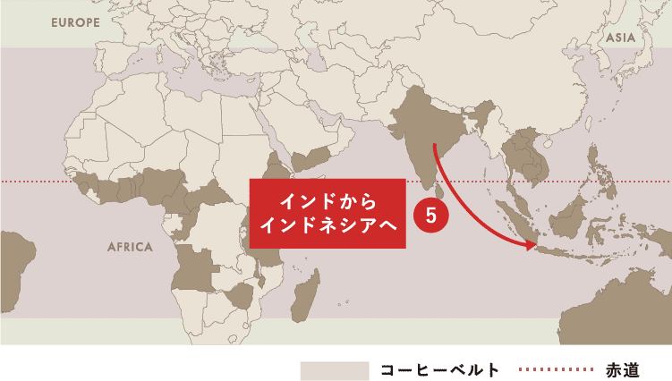 Spread of Coffee コーヒー栽培（アラビカ種）が世界中に広がった軌跡