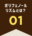 ポリフェノールリズムとは？ 01