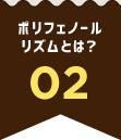 ポリフェノールリズムとは？ 02