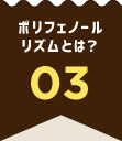 ポリフェノールリズムとは？ 03