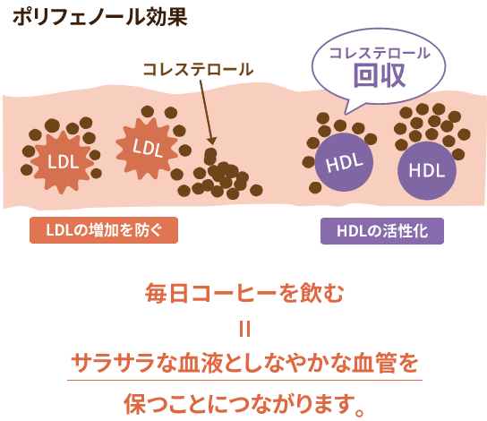 ポリフェノール 効果