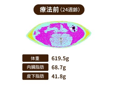 [図] 療法前(24週齢) 体重：619.5g 内臓脂肪：68.7g 皮下脂肪：41.8g