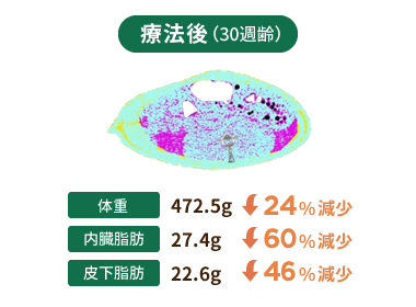 [図] 療法後(30週齢) 体重：472.5g(24%減少) 内臓脂肪：27.4g(60%減少) 皮下脂肪：22.6g(46%減少)