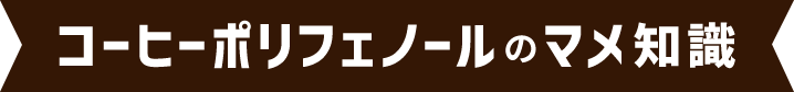 コーヒーポリフェノールのマメ知識