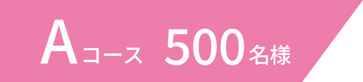 Aコース 500名様